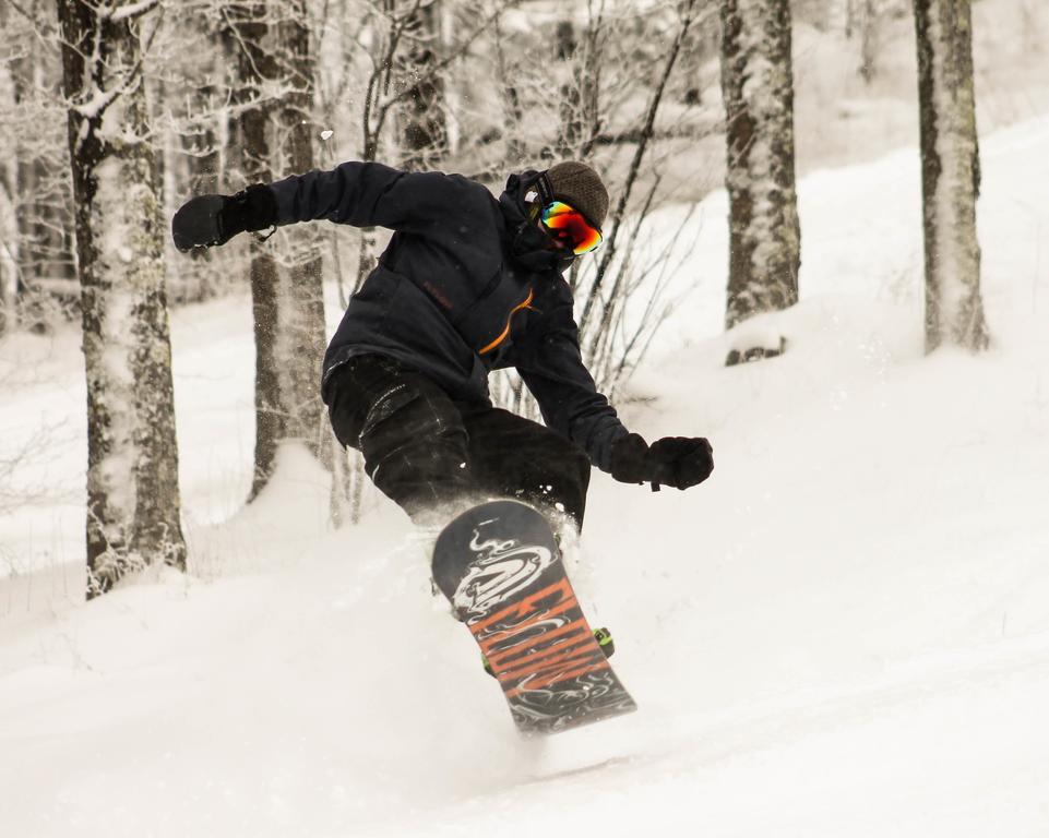 Canaan Valley Resort State Park เดวิส ภายนอก รูปภาพ