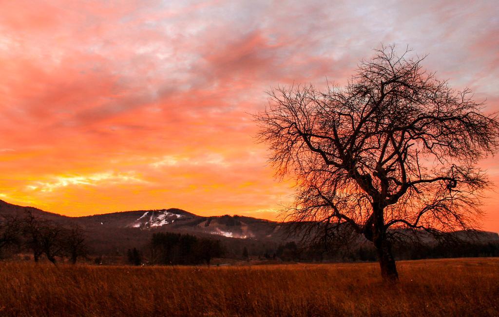 Canaan Valley Resort State Park เดวิส ภายนอก รูปภาพ