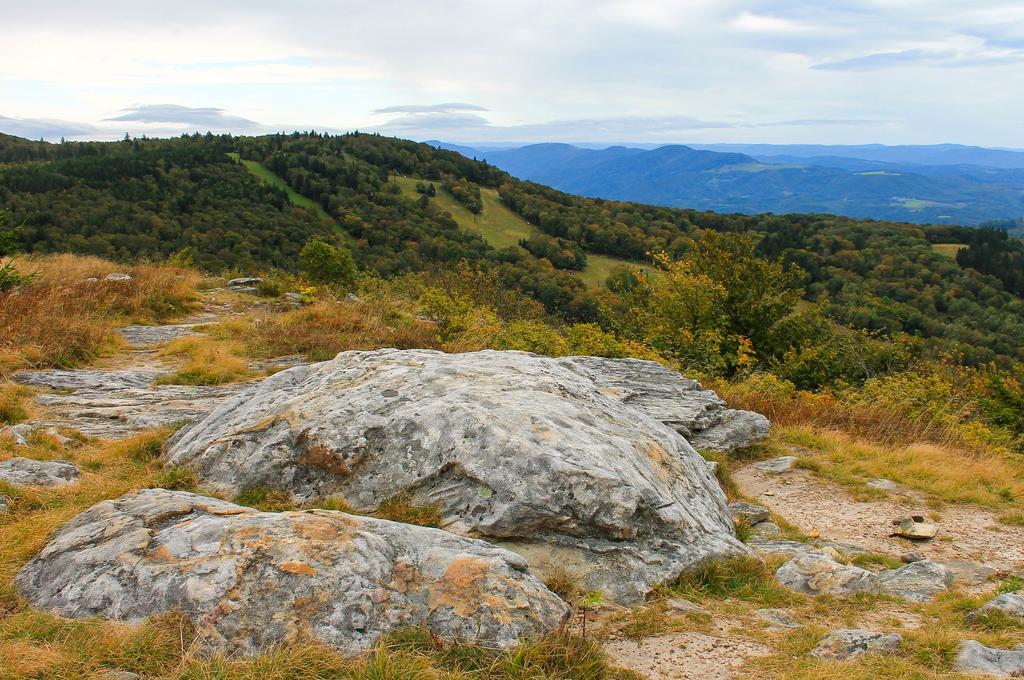 Canaan Valley Resort State Park เดวิส ภายนอก รูปภาพ