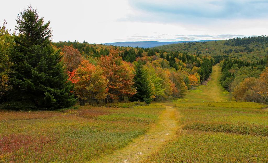 Canaan Valley Resort State Park เดวิส ภายนอก รูปภาพ