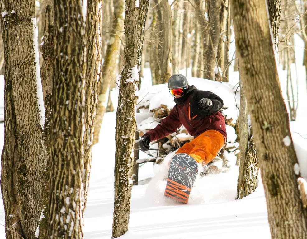 Canaan Valley Resort State Park เดวิส ภายนอก รูปภาพ
