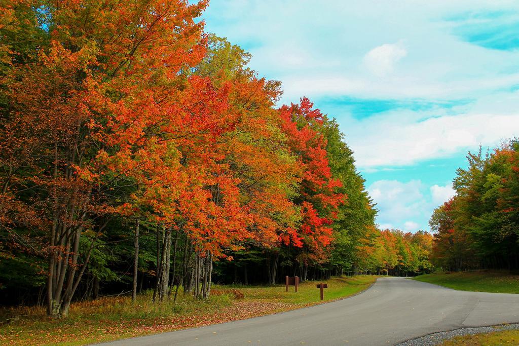Canaan Valley Resort State Park เดวิส ภายนอก รูปภาพ