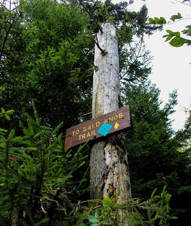 Canaan Valley Resort State Park เดวิส ภายนอก รูปภาพ