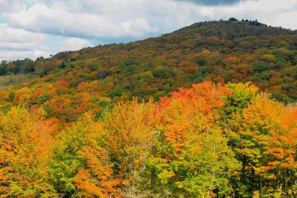 Canaan Valley Resort State Park เดวิส ภายนอก รูปภาพ