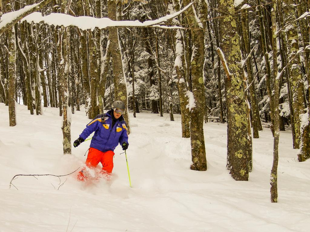 Canaan Valley Resort State Park เดวิส ภายนอก รูปภาพ